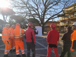 Multiservizi Caerite a salvaguardia del patrimonio arboreo pubblico di Cerveteri.